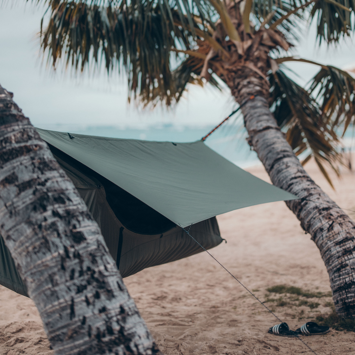 Haven Safari (Second | Hammock)