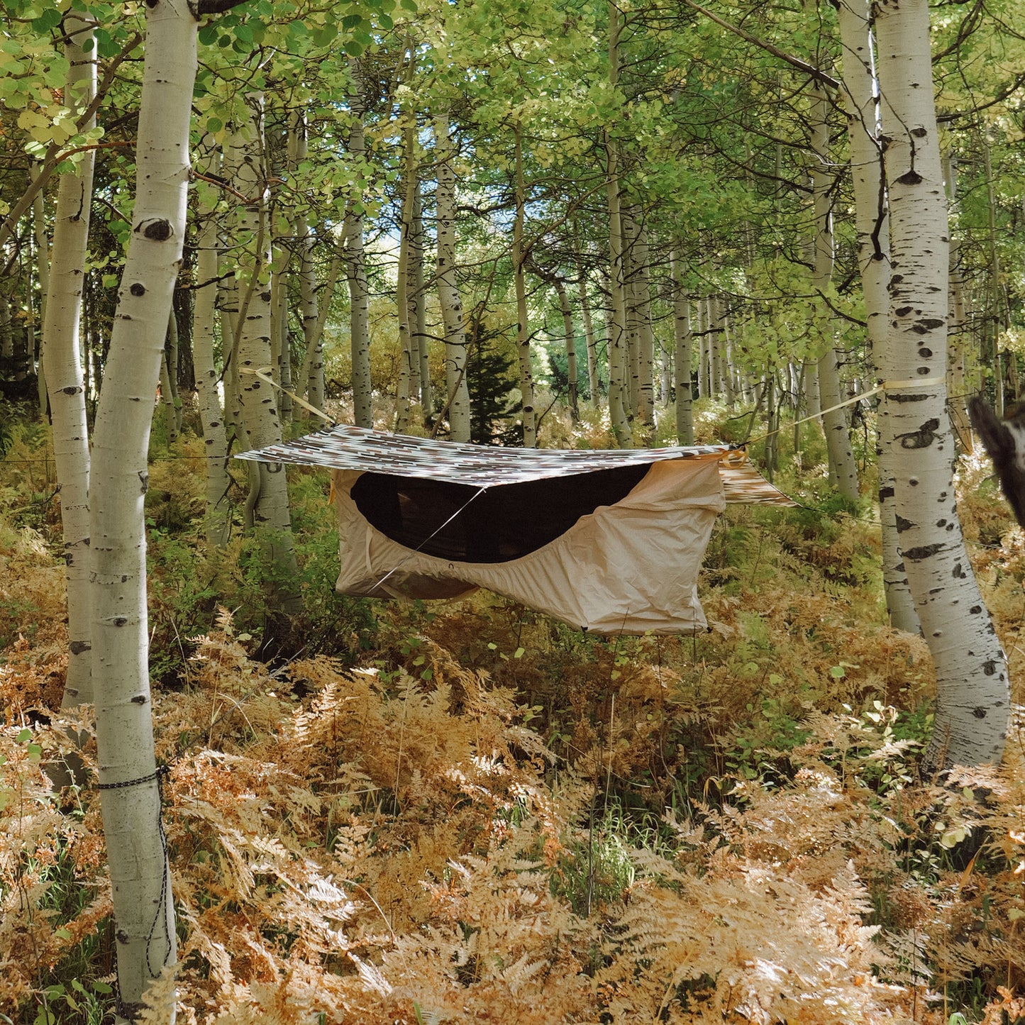 Haven Safari (Second | Hammock)