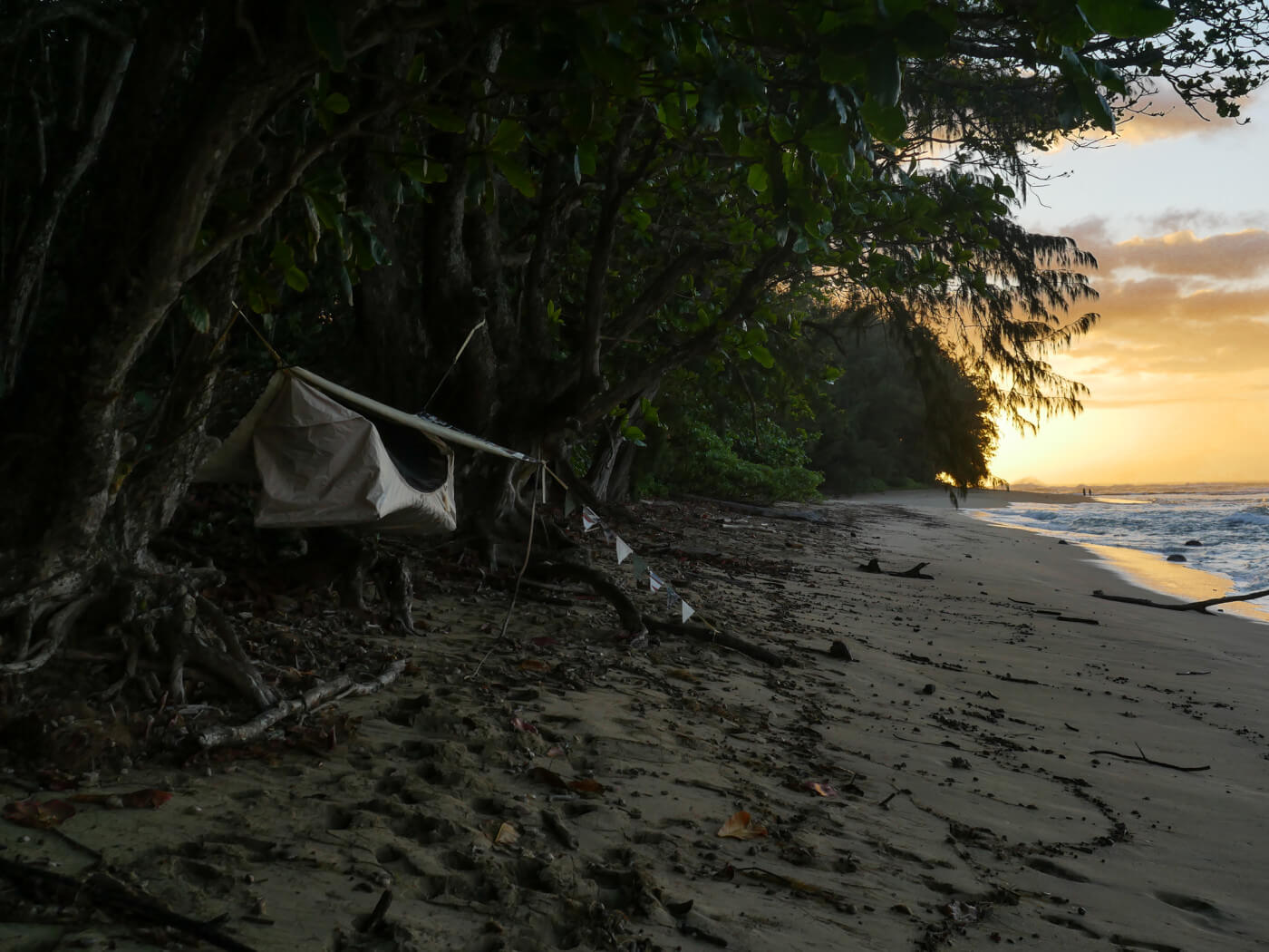 Haven Safari on the beach