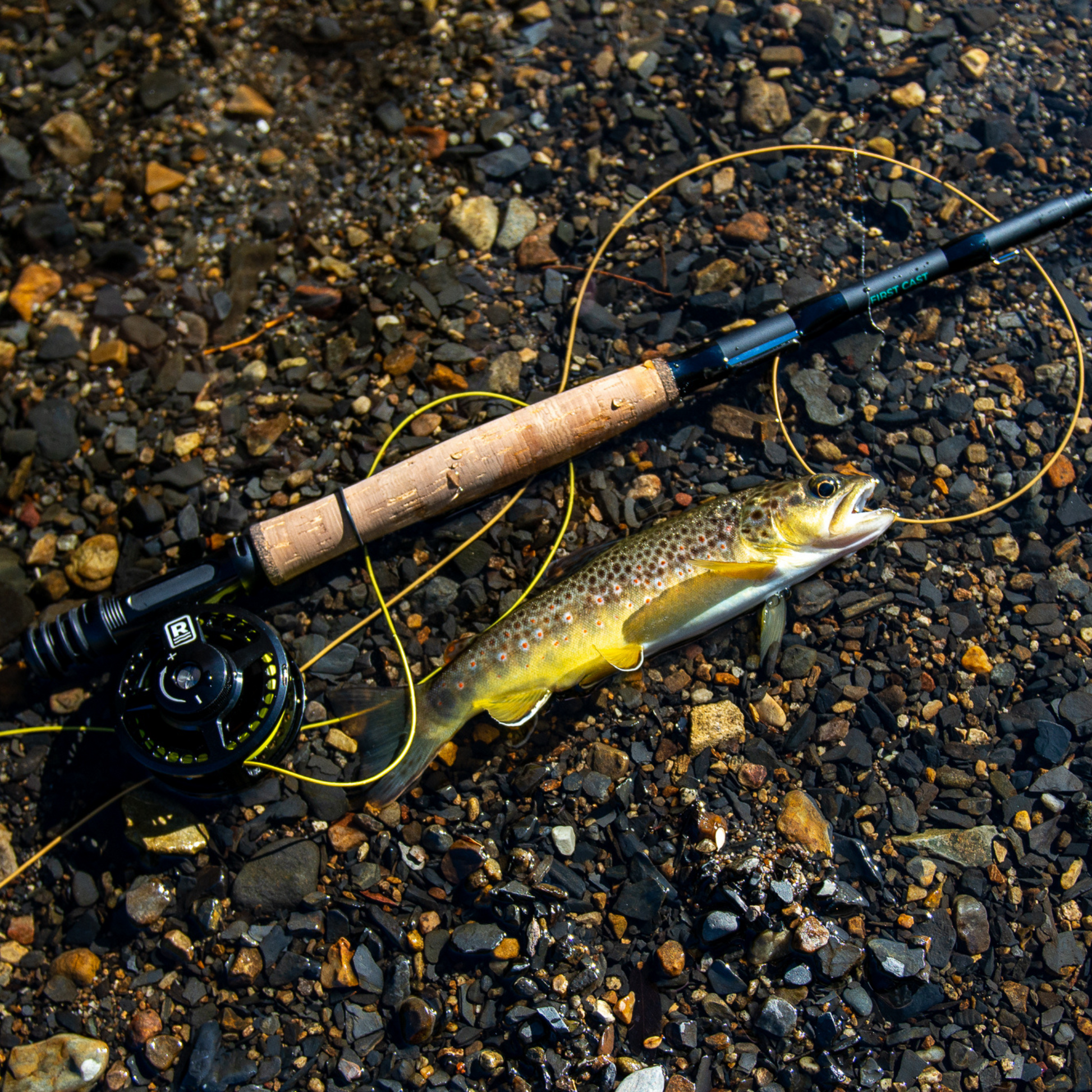 fly rod with fish on rocks 