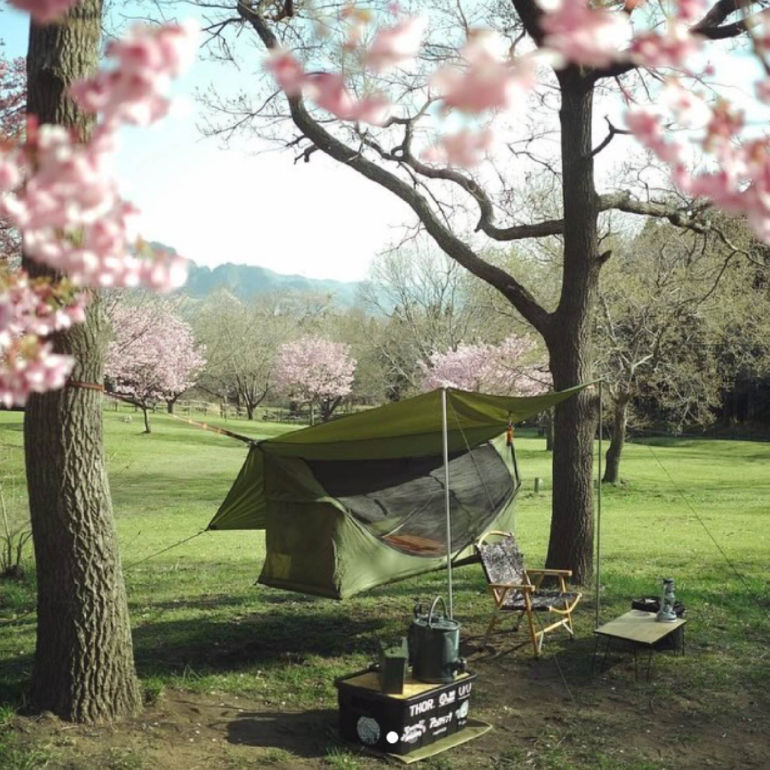 Haven Tents | Lay Flat Hammock Tents | Camping Hammocks
