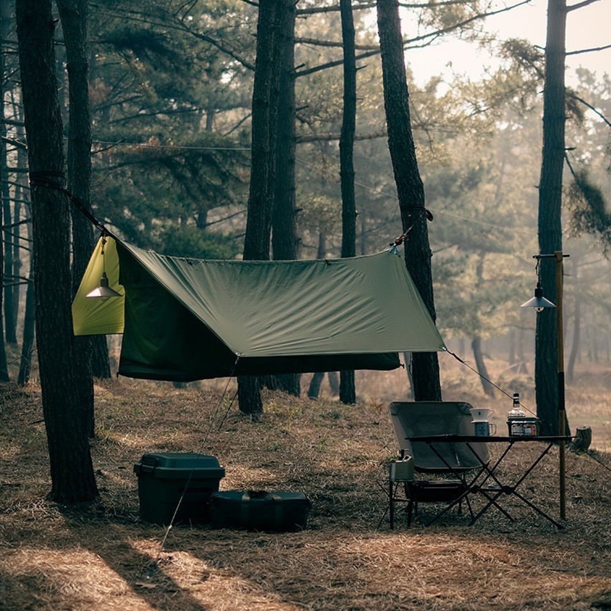 Forest green portable camping hammock between two trees at a campsite