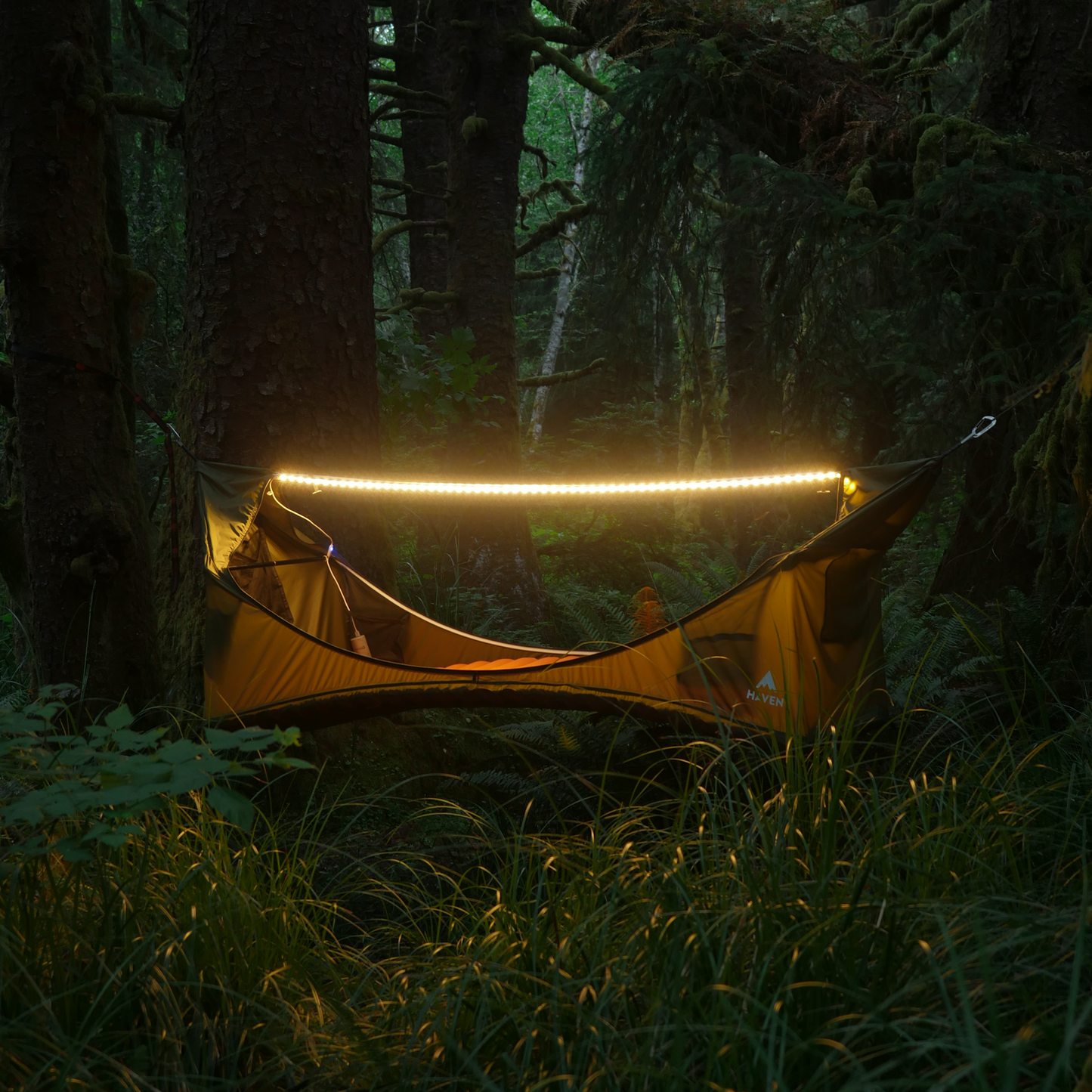 Camping hammock hanging between two trees with LED lights glowing
