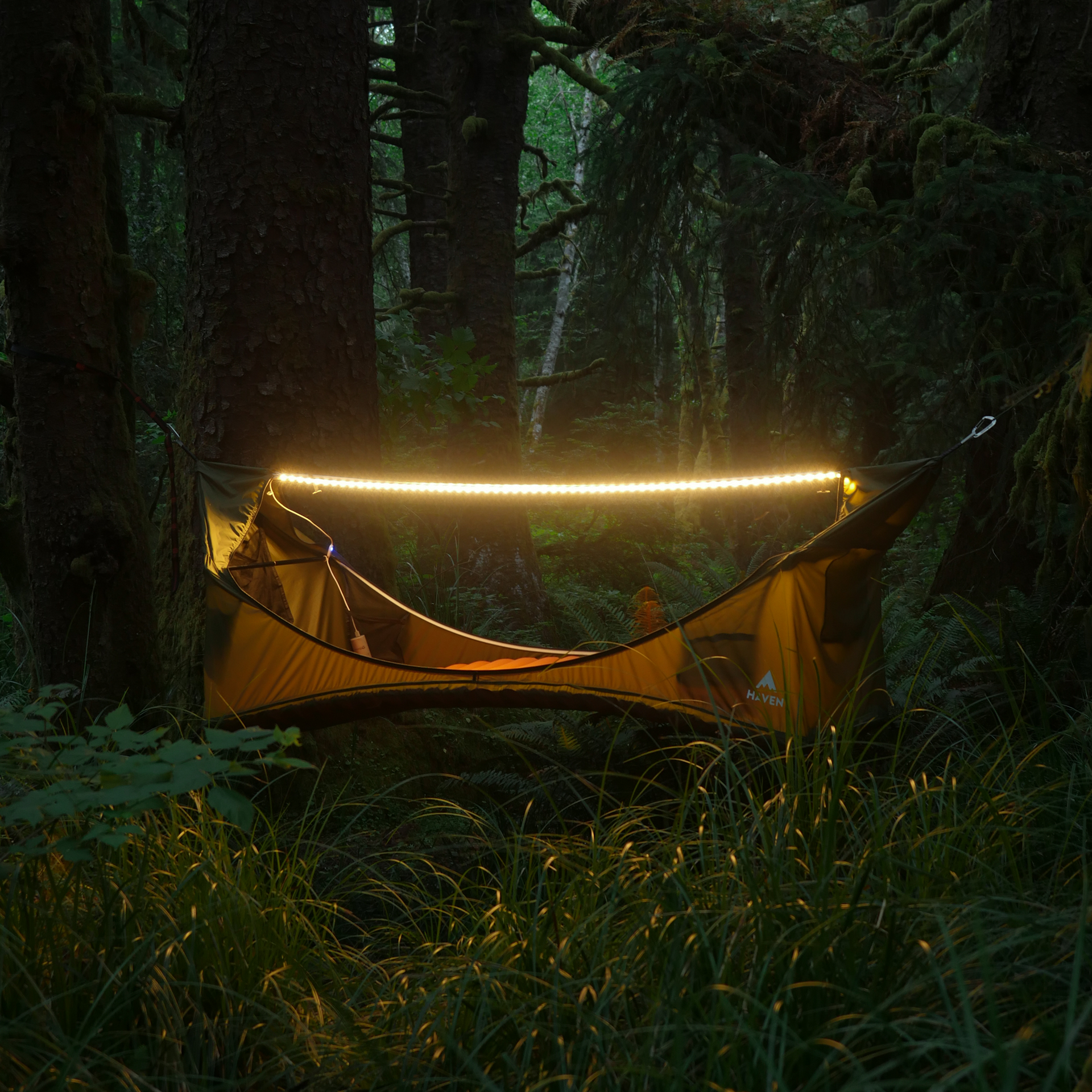 msr led tent light Haven RidgeLight