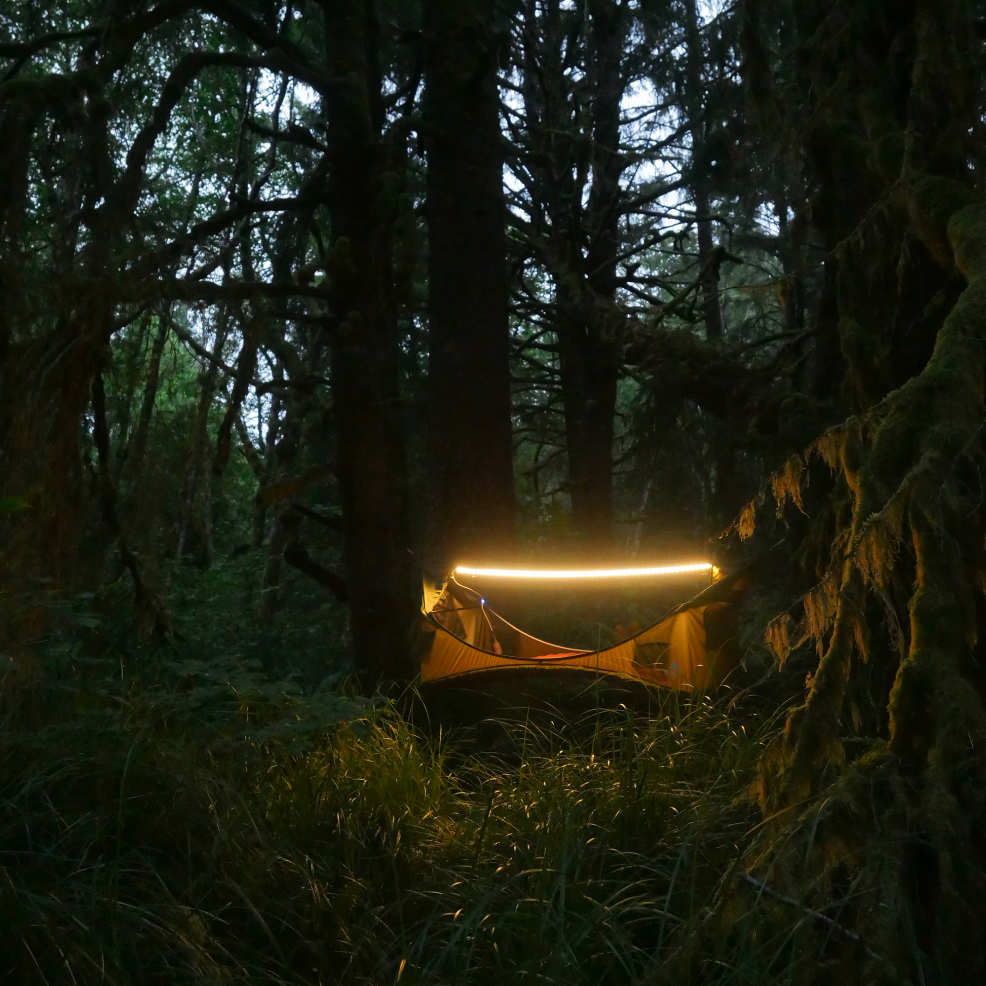 Orange camping hammock tent with LED light in the woods